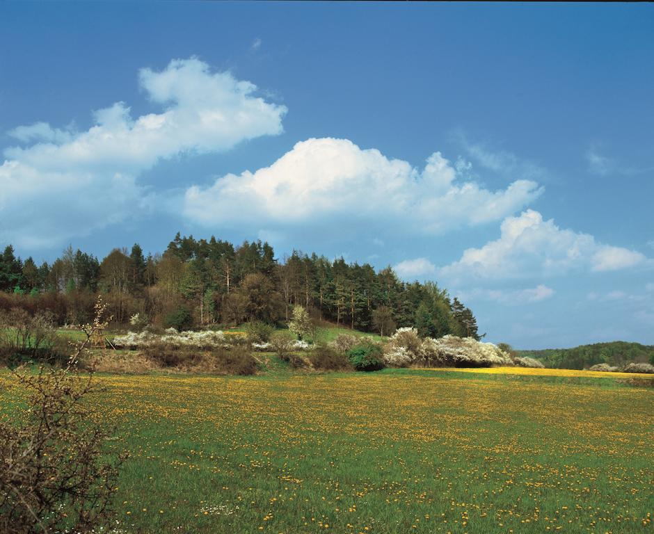 Gasthof Hotel Reif Königstein in der Oberpfalz Extérieur photo